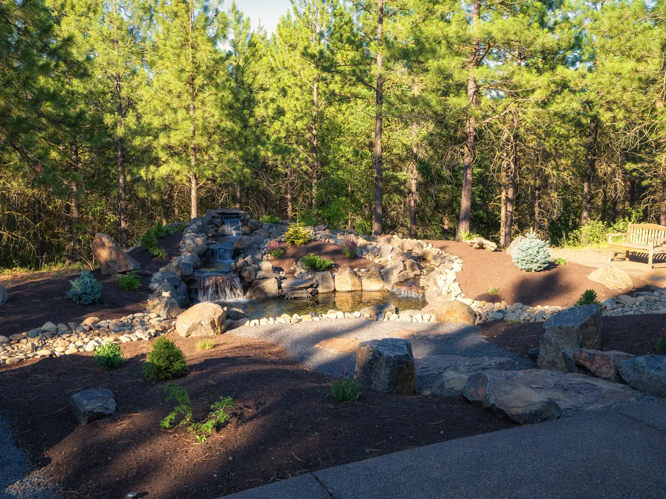 Stacked-stone waterfalls spilling into a clear pond with plantings and boulders under the pines