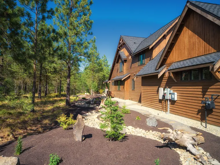 Planted bed with a young pine, boulders and driftwood beside a timber home