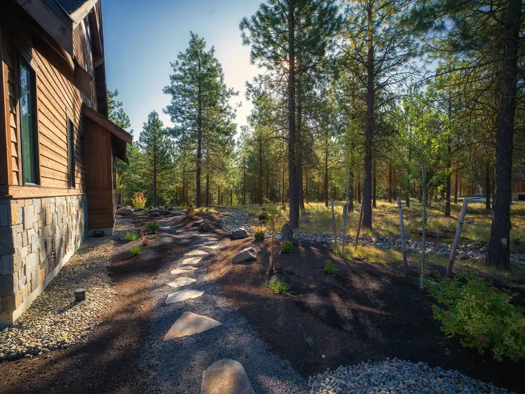 Stepping-stone path along a side yard under tall pines