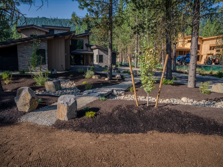 Boulders and young aspens in a new front bed