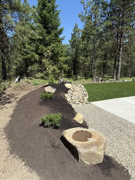 Boulder bed with young native plants running along the turf